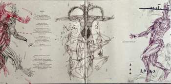 2LP Vertex: The Purest Light