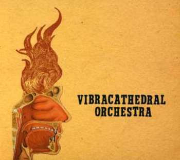 Album Vibracathedral Orchestra: Wisdom Thunderbolt