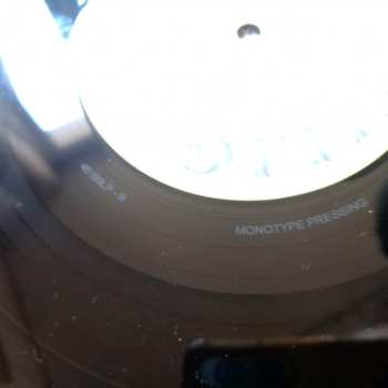 LP Vitiligoes: Rapakivi