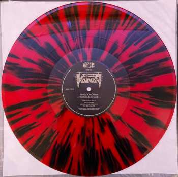6LP/DVD/Set di cofanetti Voïvod: Forgotten In Space DLX | LTD | CLR