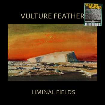 LP Vulture Feather: Liminal Fields LTD | CLR