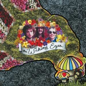 Album Waking Eyes: Combing The Cloud