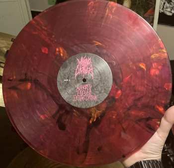 LP Waking The Cadaver: Authority Through Intimidation LTD | CLR