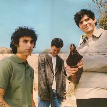 LP Wallows: Tell Me That It's Over LTD | CLR