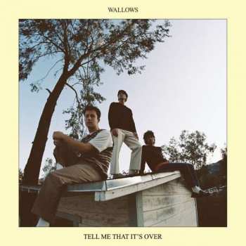 CD Wallows: Tell Me That It's Over