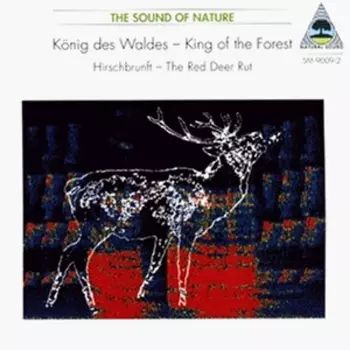 König Des Waldes − King Of The Forest — Hirschbrunft − The Red Deer Rut