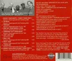 CD Walter "Wolfman" Washington: Doin' The Funky Thing