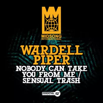 Nobody (Can Take You From Me)