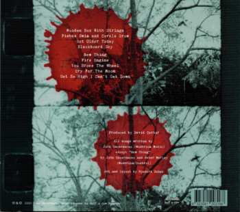 CD Warmer: Wooden Box With Strings