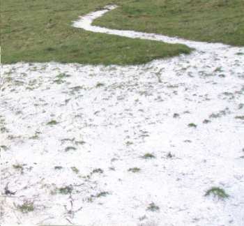 CD Way Through: Clapper Is Still