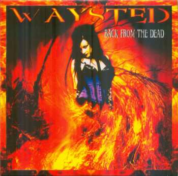 5CD/Set di cofanetti Waysted: Heroes Die Young (Waysted Volume Two: 2000-2007)
