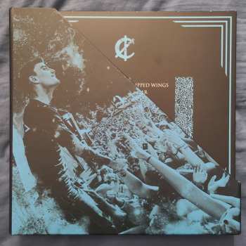 5LP/Set di cofanetti We Came As Romans: WCAR VIP Vinyl Box Set LTD | CLR