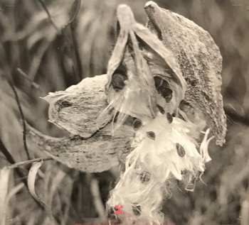 CD Wendy Eisenberg: The Machinic Unconscious