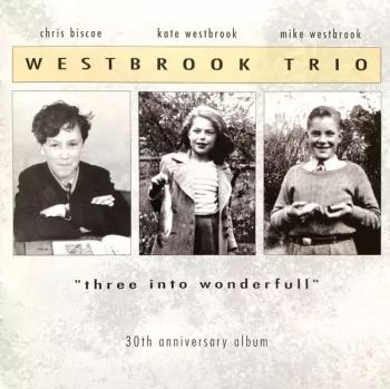 Mike Westbrook Trio: Three Into Wonderfull