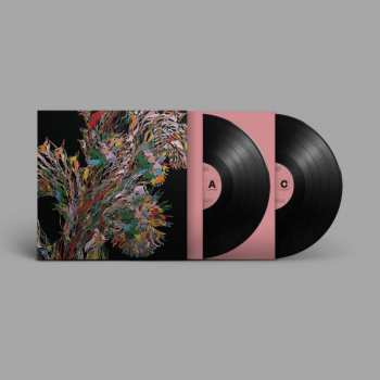 2LP Weval: Remember