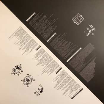 3LP/Set di cofanetti While She Sleeps: You Are We DLX | CLR