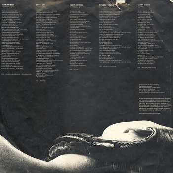 LP Whitesnake: Slide It In