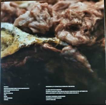 2LP Wiegedood: There's Always Blood At The End Of The Road LTD