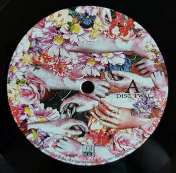2LP Wilderun: Veil Of Imagination