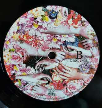2LP Wilderun: Veil Of Imagination