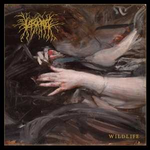 Album Lascar: Wildlife