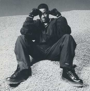 CD Will Smith: Big Willie Style