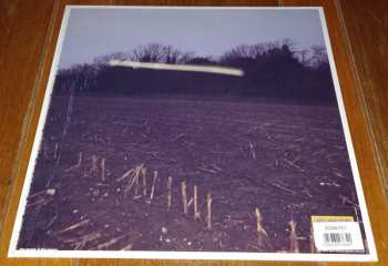 LP Will Varley: The Hole Around My Head LTD