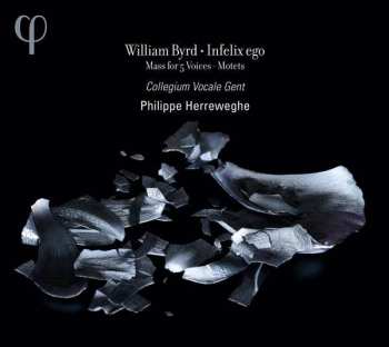 Album Collegium Vocale: Infelix Ego - Mass For 5 Voices-Motets