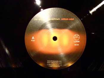 2LP William Orbit: My Oracle Lives Uptown
