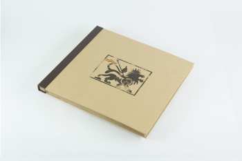 4LP/Set di cofanetti Wingless Angels: Wingless Angels (Volumes I & II) DLX | LTD | CLR