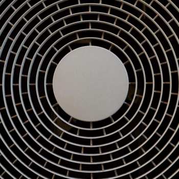 LP Wire: Wire