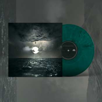 Album Wooden Veins: In Finitude