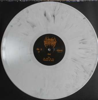 LP Woods Of Desolation: Sorh CLR | LTD