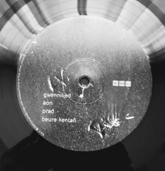 2LP Yann Tiersen: All