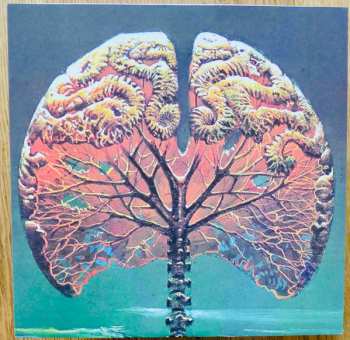 LP YO NO SE: Momento Mori CLR | LTD