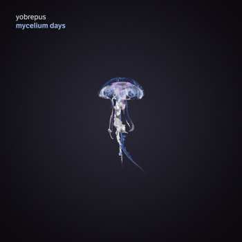 LP Yobrepus: Mycelium Days