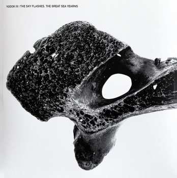 3CD/Set di cofanetti Yodok III: YODOK III LTD | DLX