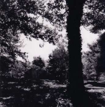 CD Yosi Horikawa: Spaces