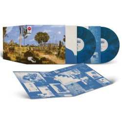 2LP ZAYN: Room Under The Stairs CLR | LTD