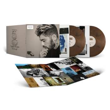 2LP ZAYN: Room Under the Stairs