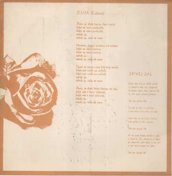 SP Zdenka Lorencová: Žlutá (Colours) / Zpívej Dál