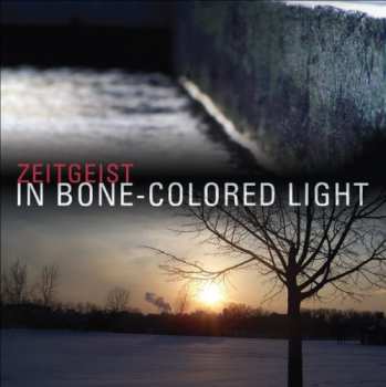 Album Zeitgeist: In Bone-Colored Light