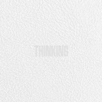 Thinking