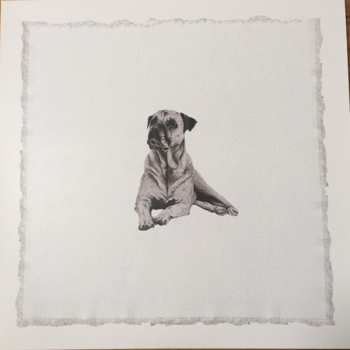 Album Ziggy Alberts: Land & Sea x Four Feet in the Forest