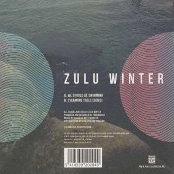 SP Zulu Winter: We Should Be Swimming